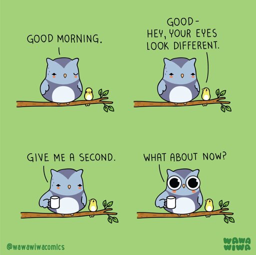 Four-panel comic on a light green background showing a round blue-gray owl sitting on a branch with a small yellow chick.  Panel 1: Owl and chick sit side by side; the chick says, "Good morning."  Panel 2: Chick notices the owl and says, "Good— hey, your eyes look different."  Panel 3: Owl lifts a white mug and says, "Give me a second."  Panel 4: Owl now has large, wide, exaggerated round eyes (like cartoon goggles), holds the mug and asks, "What about now?" The chick looks on.